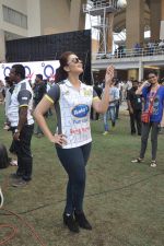 Huma Qureshi at CCL match in D Y Patil, Mumbai on 25th Jan 2014